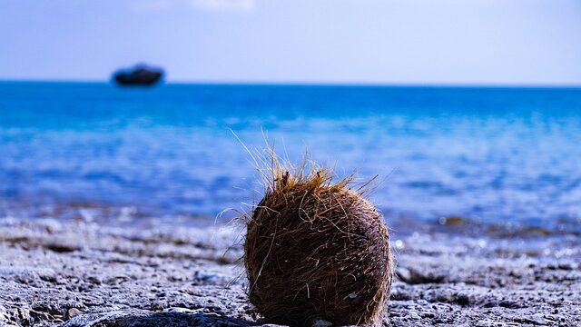 okinawa